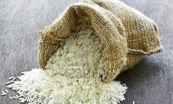 مدیرکل مجامع و نظارت بر شرکت‌ها: واردات برنج تا دو ماه آینده متوقف شد