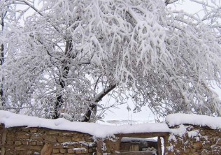 اخطاریه ای نسبت به احتمال بارش برف در مازندران